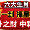 11月一到，這6大生肖不經意就中個彩票，意外之財數到樂開花！