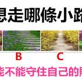 你想走哪條小路？測你能不能守住自己的財富？