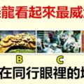 哪條龍看起來最威武？測你在同行眼裡的地位