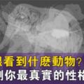 心理學：你最先看到什麼動物？看透你的真實性格感情！