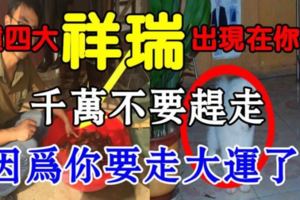 這四大祥瑞情況出在你家，那你就要走大運了！記得千萬不要把他們趕出門！