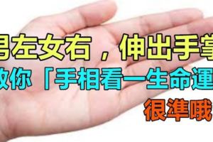 男左女右，伸出手掌，教你「手相看一生命運」很準哦！