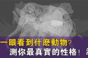 心理學：你最先看到什麼動物？看透你的真實性格感情！