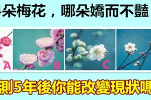 4朵梅花，哪朵嬌而不豔？測5年後你能改變現狀嗎