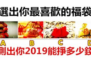 選出你最喜歡的福袋，測出你2019能掙多少錢