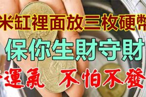 「米缸裡麵」，放上它，保你生財守財，好運氣