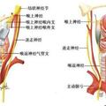 「聲帶麻痹」該如何規範治療？