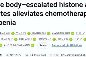 復旦發現生酮飲食療法可減輕癌症患者併發症，緩解血小板減少症