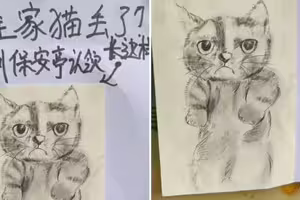 走失公告素描畫得超潦草 直到「貓咪本尊現身」網傻眼:居然一模一樣 走失公告素描畫得超潦草 直到「貓咪本尊現身」網傻眼:居然一模一樣