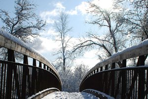 週五迎大雪！4生肖一掃霉運「越冷越旺」