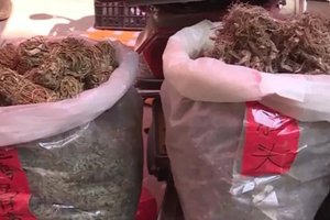 婦買中藥材煲湯「吃完竟暴斃」　警方上門店家才驚：拿錯草