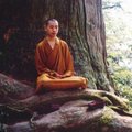尼泊爾靈修少年——菩提樹下打坐六年，不吃不喝