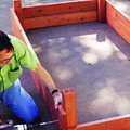 他隻用木板在陽台做了一個木板箱，將近1米的菜園就種出夠全家吃一個月的菜！