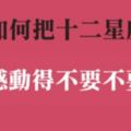 感動是一種幸福！要如何感動十二星座，其實方法比你想的還要簡單！