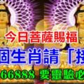 今日菩薩賜福，這6個生肖請「接喜」!留言66888，要靈驗必轉！ 首發原創