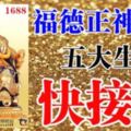 福德正神派財，7天內迎來好運勢偏財臨命大發意外之財五大生肖，快接財！