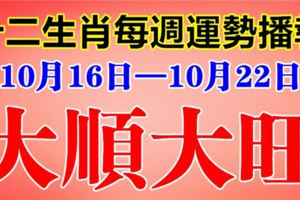 十二生肖每週運勢播報（10月16日—10月22日）