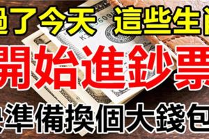 過了今天，這6大生肖就準備換個大錢包，開始「賺大錢，進鈔票」！