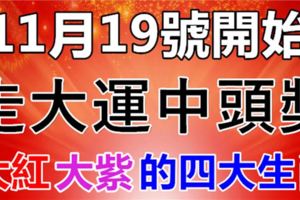 未來兩年，逢「6」發財，逢「8」中獎的生肖，躺著數大錢！