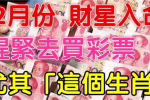 12月份財星入命，趕緊去買彩票！尤其「這個生肖」財運當頭，中大獎！