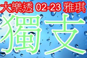 琪大樂透2018/02/23獨支版路公開新年快樂開工大吉