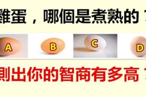 雞蛋，哪個是煮熟的？測出你的智商有多高？