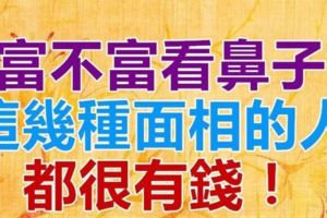 富不富看鼻子，這幾種面相的人都很有錢！看看你身邊是不是有隱藏的富豪？