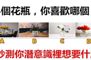 4個花瓶，你喜歡哪個？秒測你潛意識裡想要什麼