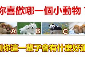 你喜歡哪一個小動物？測你這一輩子會有什麼好運