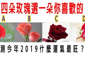 心理測試：四朵玫瑰選一朵你喜歡的，測今年2019什麼運氣最旺？原文網址：https://kknews.cc/psychology/3v896py.html