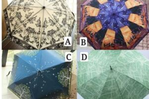 下雨你會選擇哪把傘，測你在別人眼中是什麼形象？