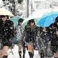 日本女學生為何都穿著「超短裙」？真正原因竟出自於...