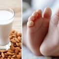醫生讓小嬰兒只喝杏仁奶，沒想到讓寶寶罹患了200年前就消失的恐怖疾病！