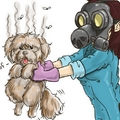 如何讓狗狗身上的臭味消失?