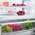 一張圖教會你冰箱食物如何存放 既省電又健康