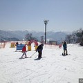 冬季到日本，來新瀉滑雪吧！