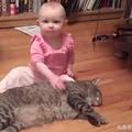 胖貓咪被小寶寶當抱枕，貓咪的反應這麼暖，簡直不科學啊 !