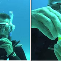 男子潛到20公尺的海底將生蛋打開 結果竟然出現了這麼神奇的一幕！