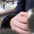 寵主抱著貓咪在長椅上休息，旁邊的流浪貓露出羨慕的眼神