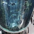 全球最驚險奇特的10座電梯，看到中國的整個人都不好了！