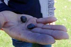 土耳其村民找到這種「石頭」碎片，竟然一夜暴富… 全村收入超100萬歐元