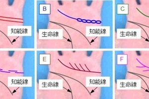 原來手上的「感情線」居然要這樣看才對！而感情線斷裂的人，命運居然是....簡直出乎意料之外呀！