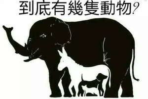 【神秘的圖】有人看出 4 種動物，有人看出 10 種... 你能看出幾種呢？