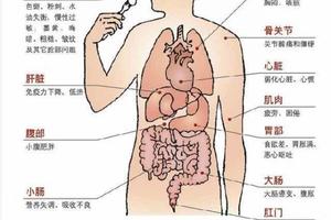 放屁很臭的人一定要清除的體內13大毒素