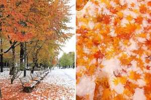 雪下得比紅葉還要早！今年15個美到想哭的北海道奇蹟絕景