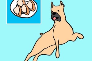 10種「狗狗可以吃而且超健康」的人類食物，#9狗寶貝有口臭一定要吃這個！