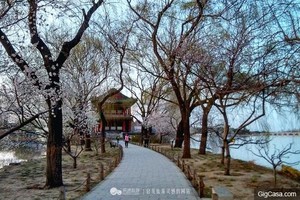 春度「頤和園」，醉人「西堤」景