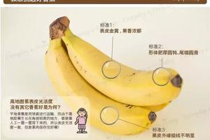 香蕉到底有多厲害？變黑了的香蕉皮，會產生有害物質嗎？