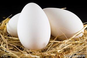 孕婦適度吃鵝蛋，對人體有5大好處！越早知道的孕媽都是幸運兒
