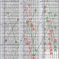 10/11六合彩三中二參考~財神到 財運到 買到又賺到~